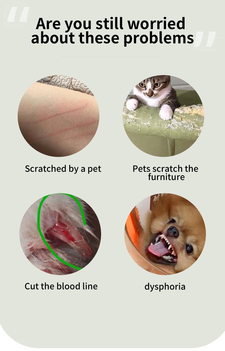 Electric pet nail grinder, USB charging, with LED light, vacuum nail trimmer, suitable for cats and dogs, pet home safety beauty tools