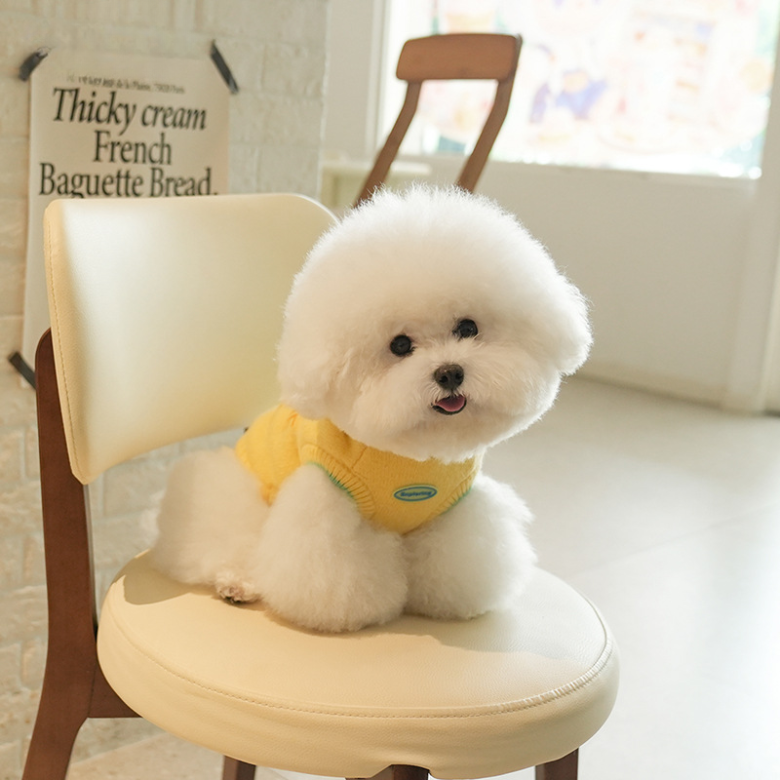 3D Banana Embroidery Knit Sweater | Small to Medium Dog Sweater