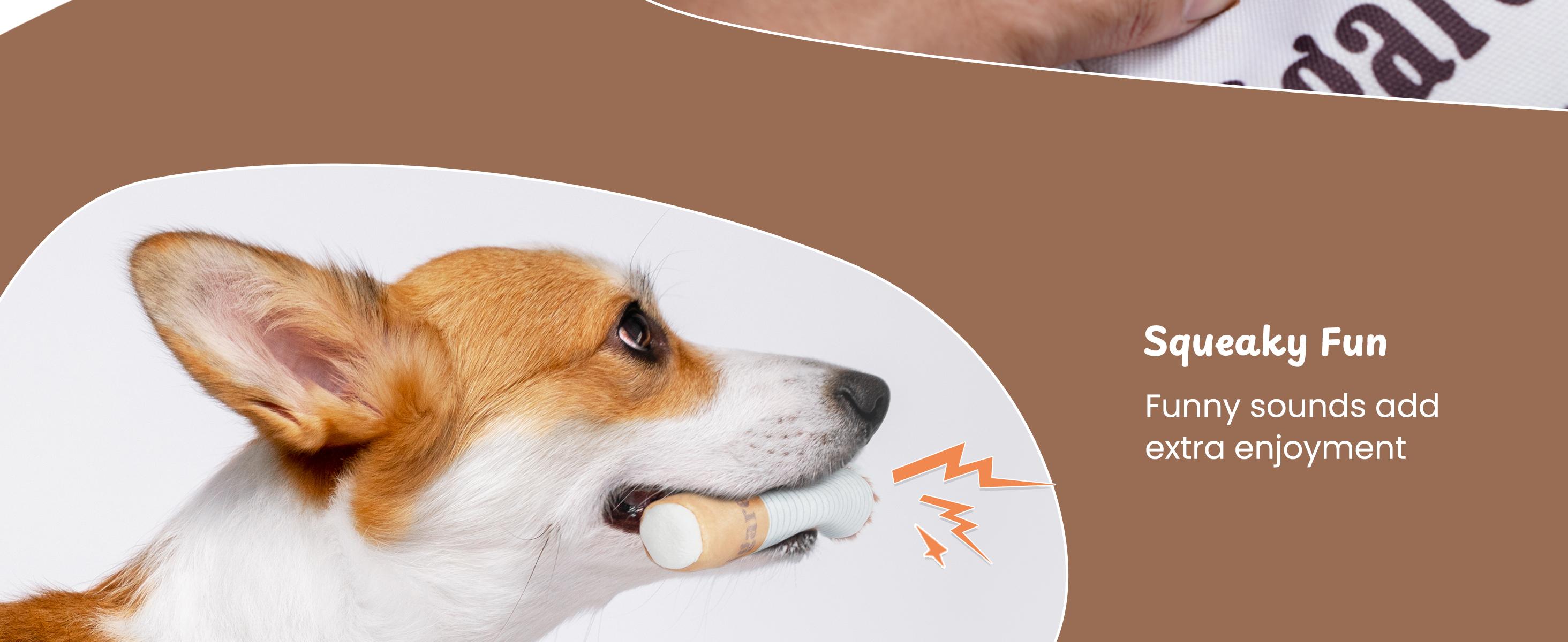 Nocciola 3 Packs Squeaky Puff Stick Toys with a Box Upgraded Version, Funny Interactive Dog Toys, Puppy Toys for Small to Medium Breed Interactive Cigarette