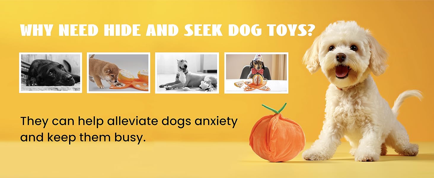 Nocciola 5-in-1 Orange Dog Enrichment Toys, 4 Orange Slices with a Peel Snuffle Mat for Treats Hunting Fun, Squeaky Hide and Seek Puzzle Dog Toy for Medium Dogs