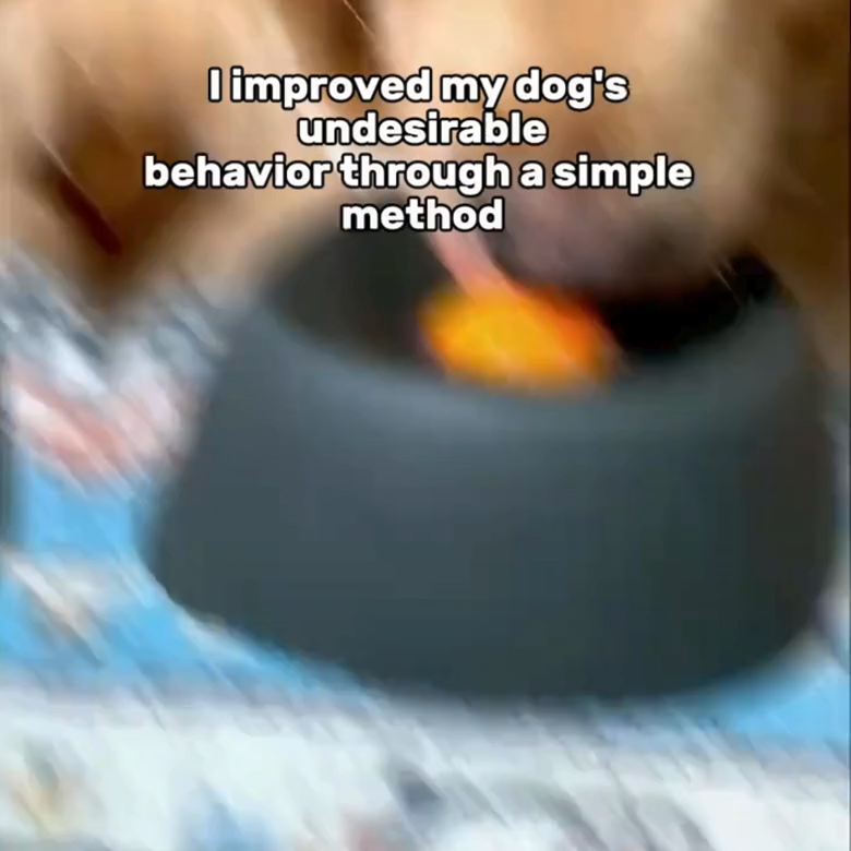 Slow Feeder Dog Bowls for Liquid Treat
