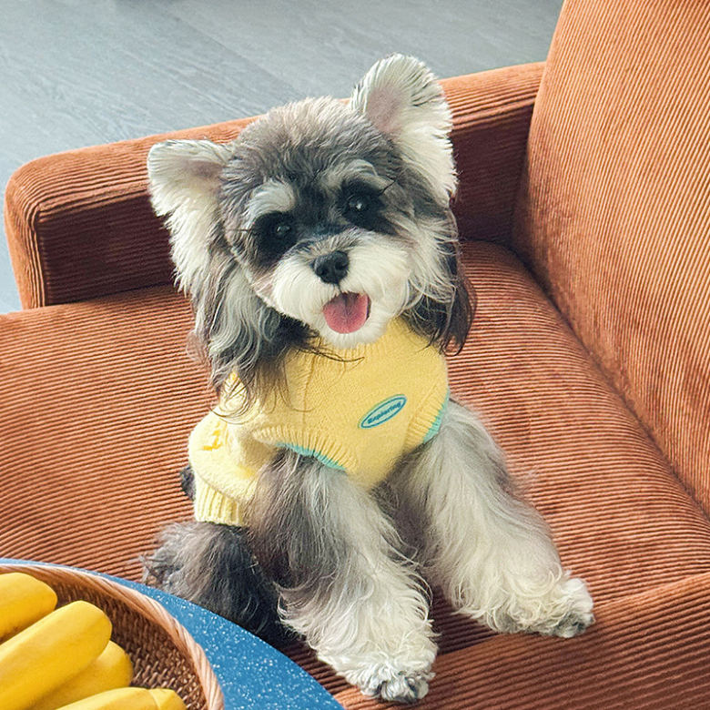 3D Banana Embroidery Knit Sweater | Small to Medium Dog Sweater