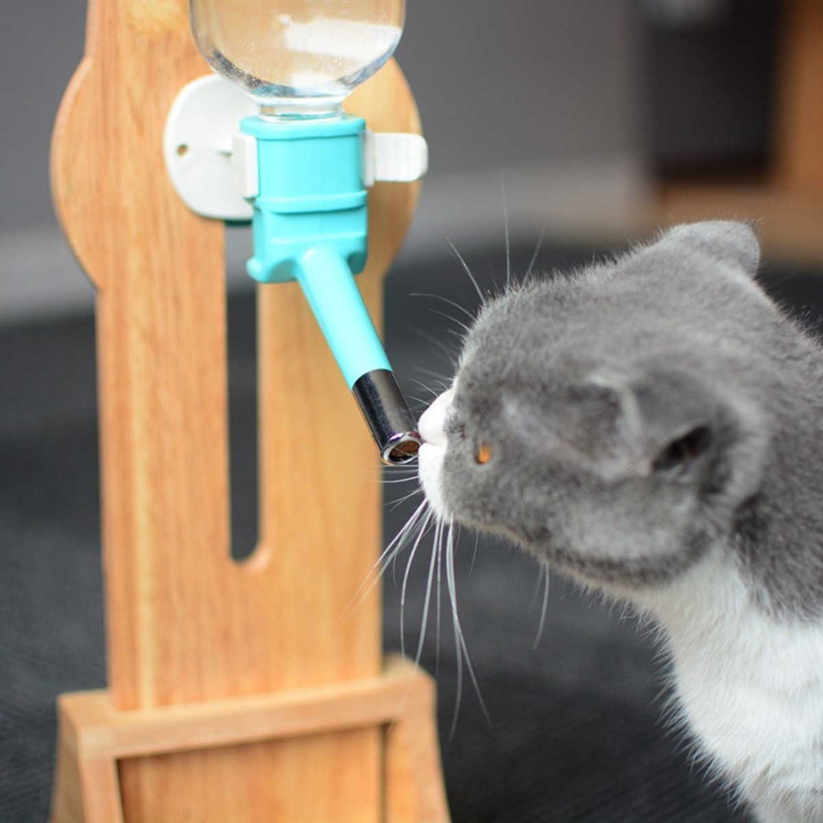 Solid Wood Pet Water Bottle Holder