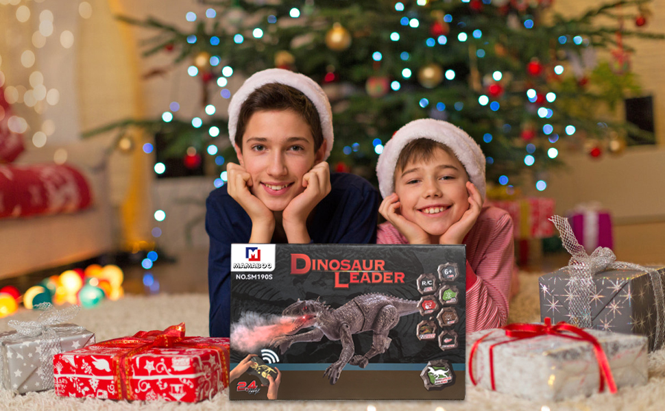 christmas gift