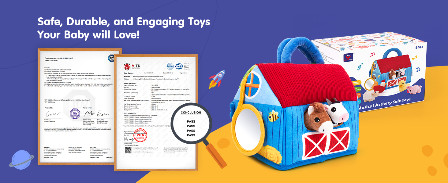 Baby Toys 6-12 Months