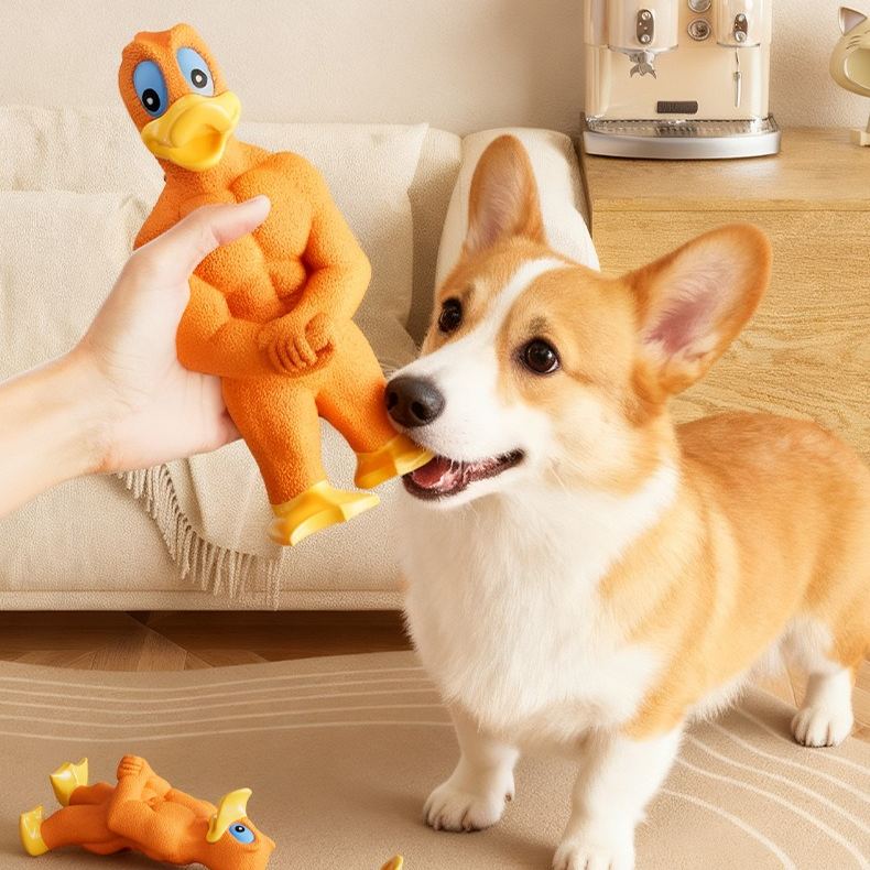 Muscular Duck Toy For Dogs to Relieve Boredom