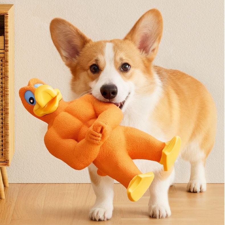 Muscular Duck Toy For Dogs to Relieve Boredom
