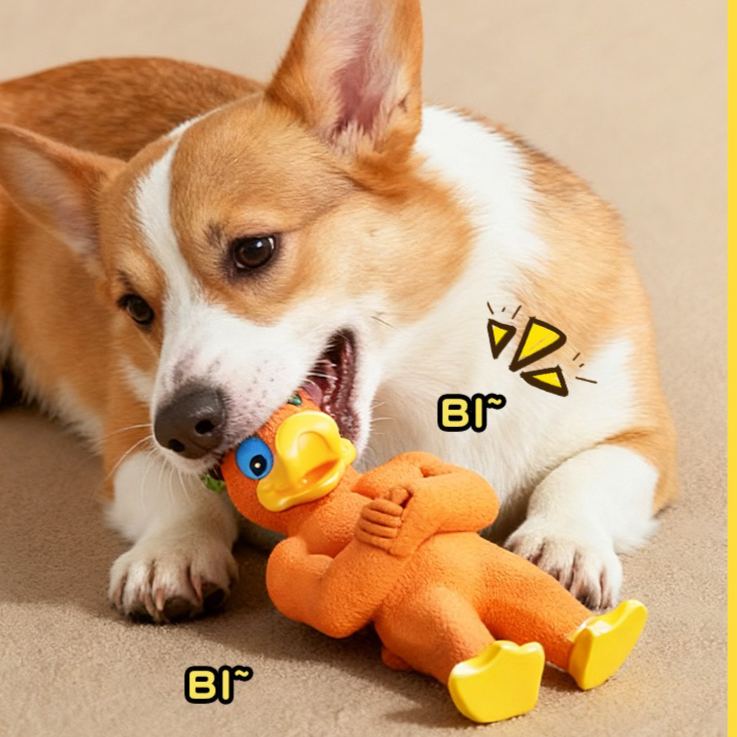Muscular Duck Toy For Dogs to Relieve Boredom
