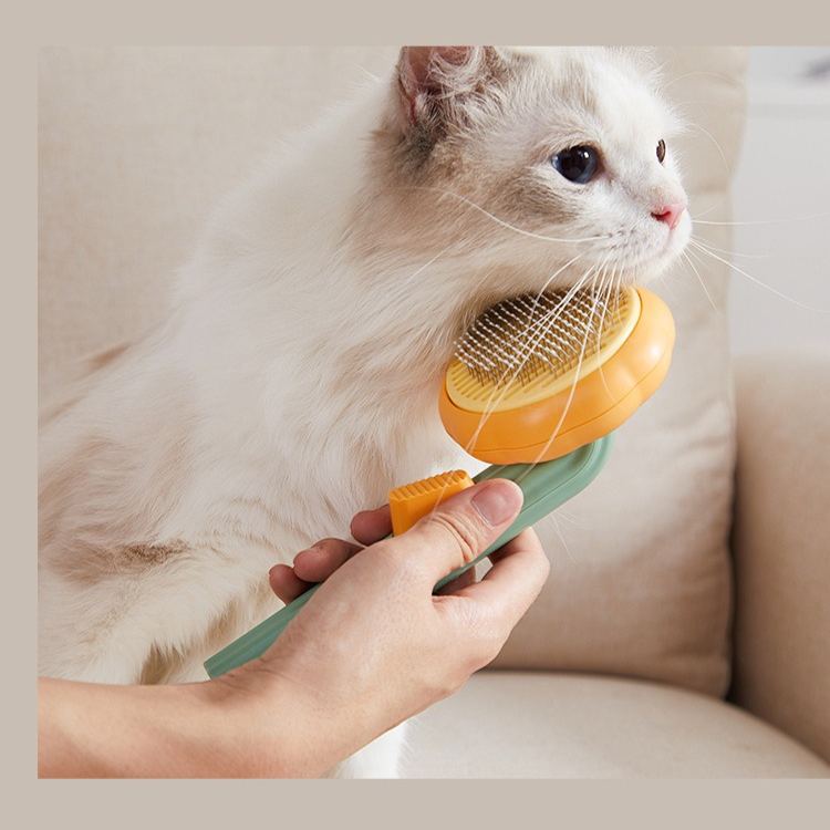 Pumpkin Pet Hair Remover Comb