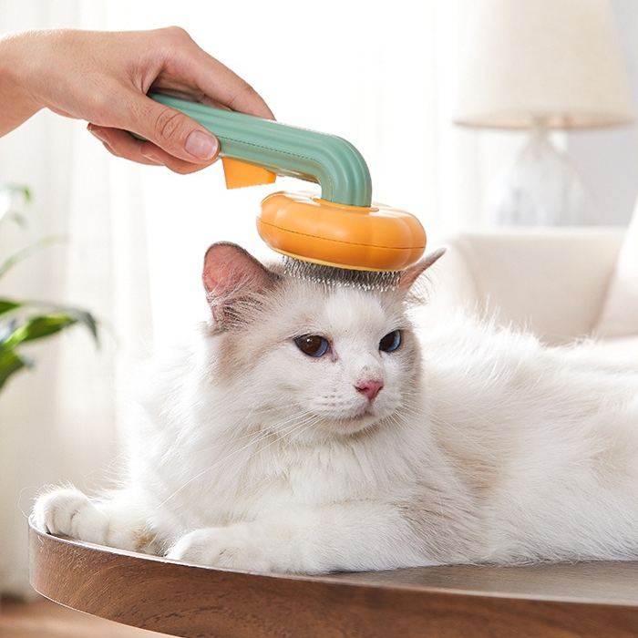 Pumpkin Pet Hair Remover Comb
