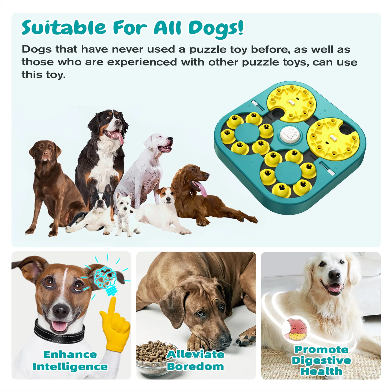 5 Levels of Step-by-Step Challenge - 6 Ways to Play - Extra-Large Size Beginner to Expert Dog Puzzle Toy for Smart Dogs