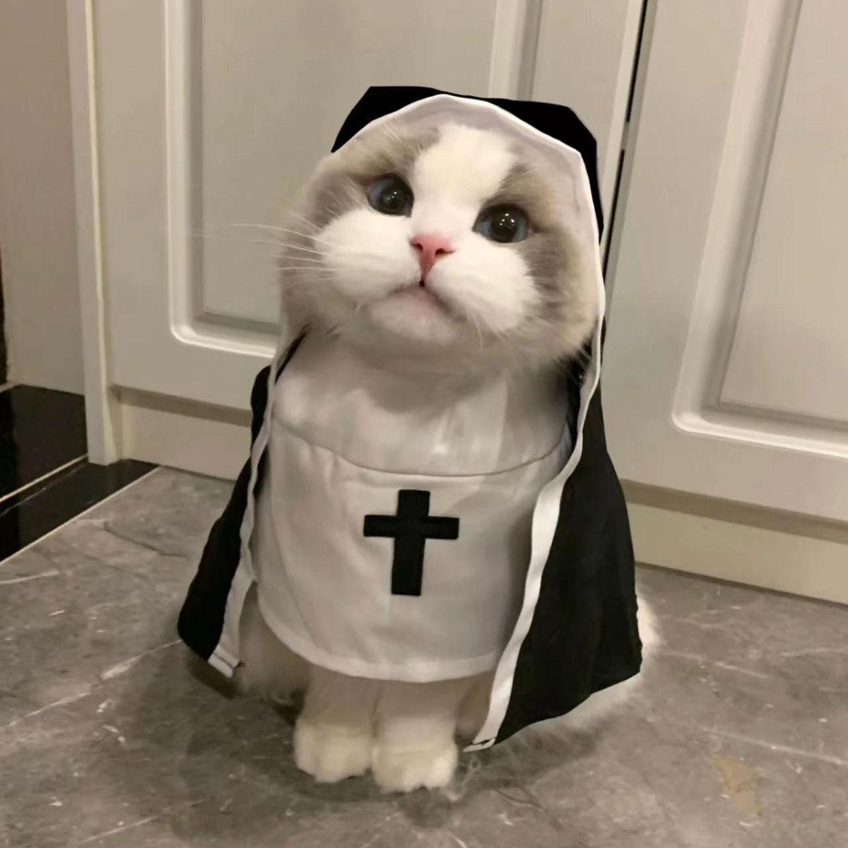 Holy Cute Nun Costume for Cats & Small Dogs😺⛪