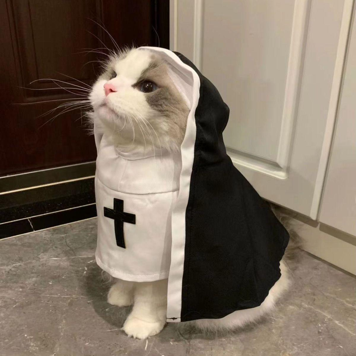Holy Cute Nun Costume for Cats & Small Dogs😺⛪