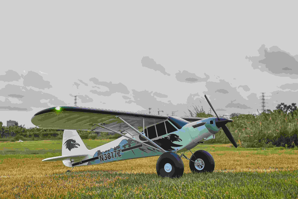 RC plane with completed decal scheme and markings
