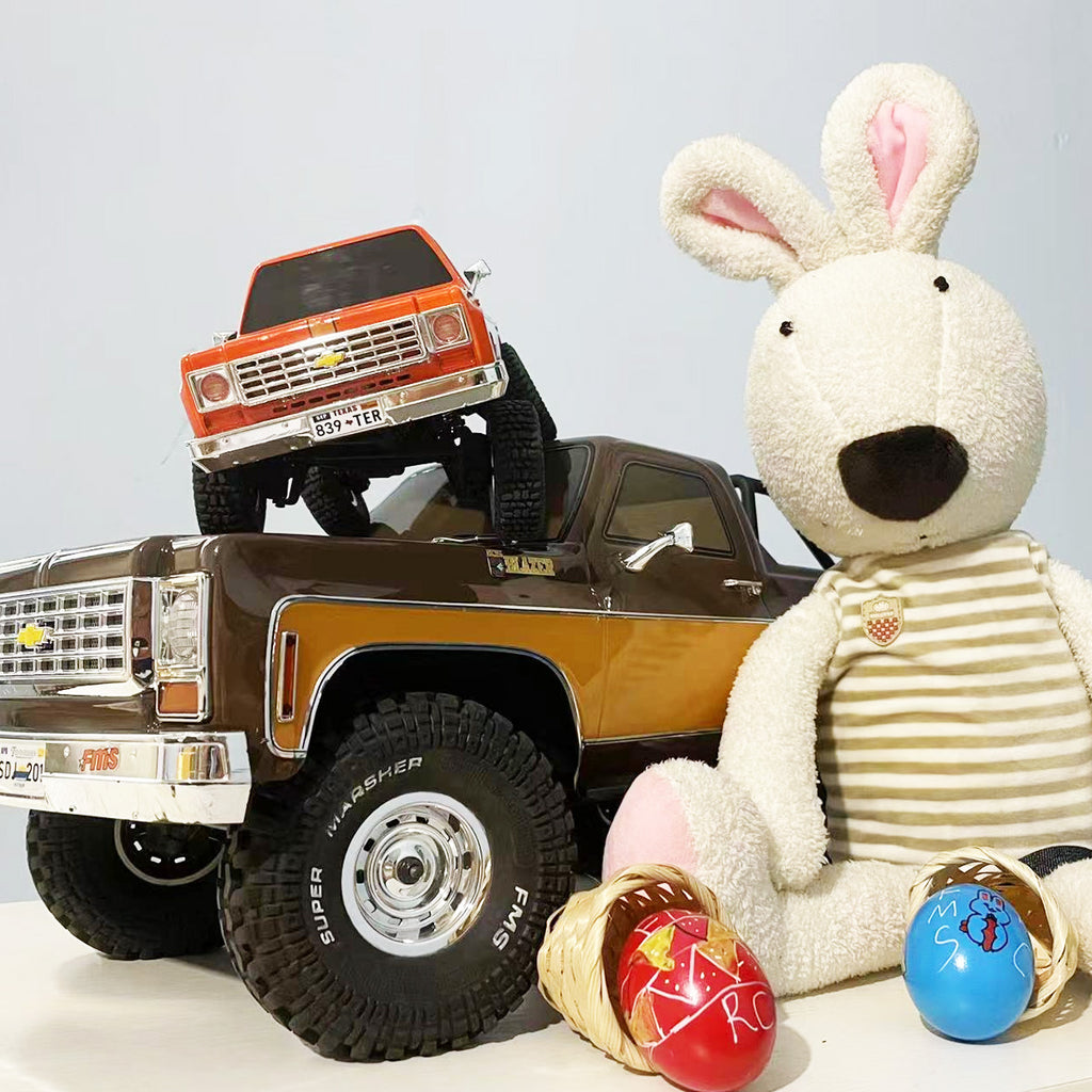 fms rc car gift for man