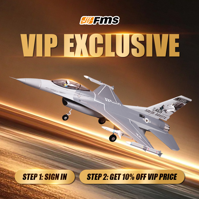 RC Airplane - VIP Exclusive – FMS Hobby