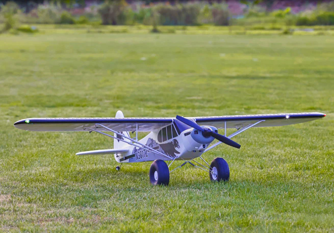 https://fmshobby.myshopline.com/collections/rc-airplane