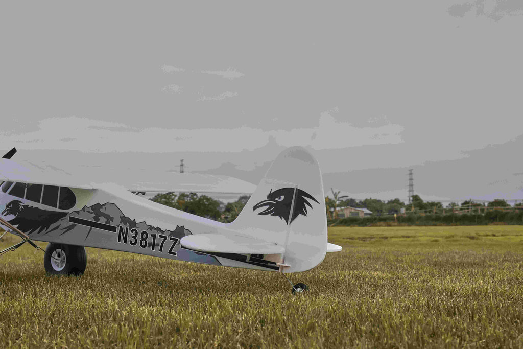 RC plane with eagle decals and registration markings