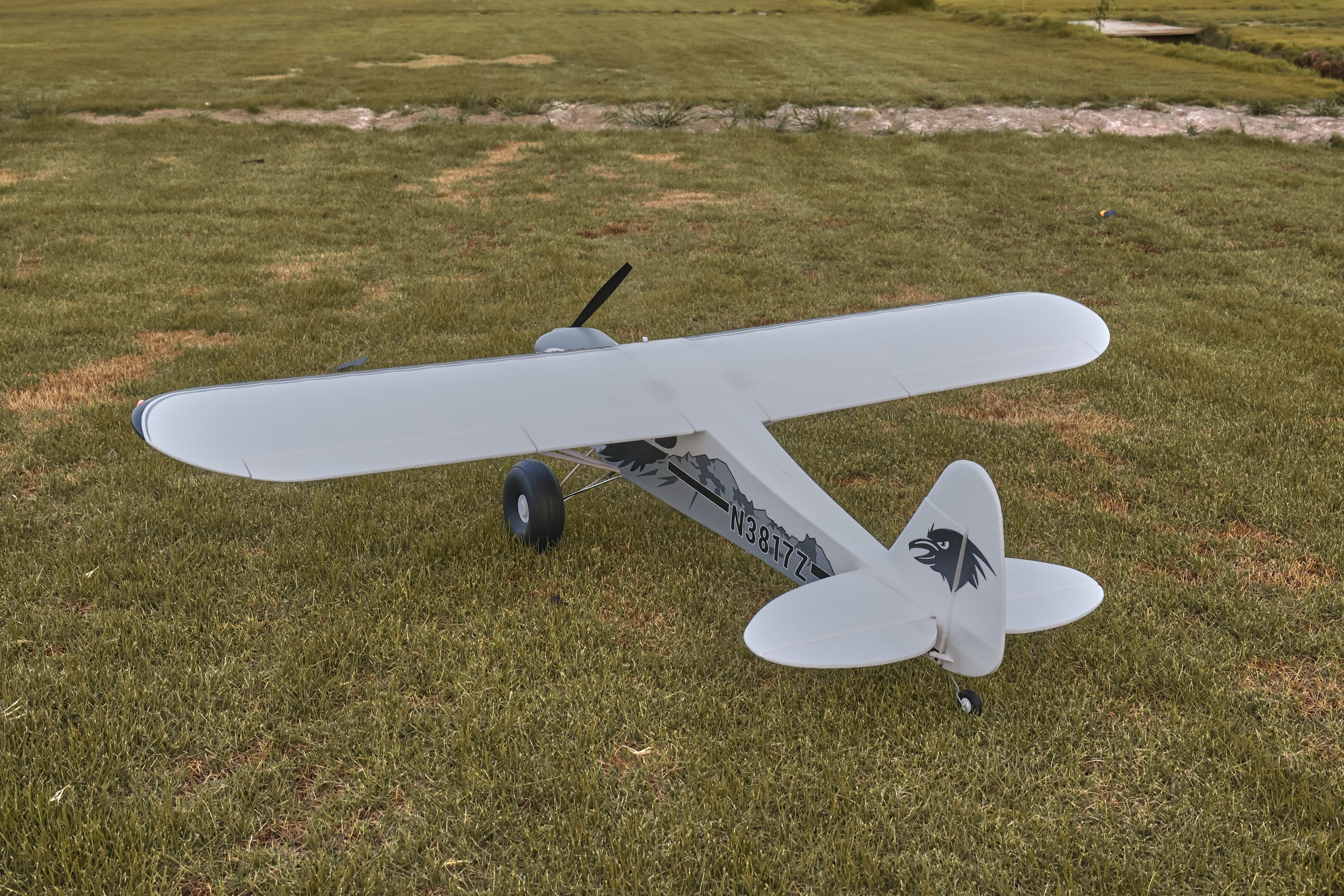 Modelo de biplano de estilo vintage controlado a distancia en un campo de hierba.