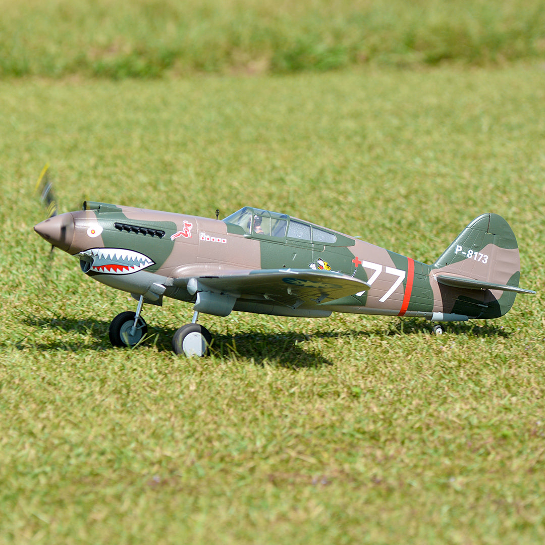 FMS 1400mm P-40B Warhawk PNP RC airplane on grass with shark teeth nose art
