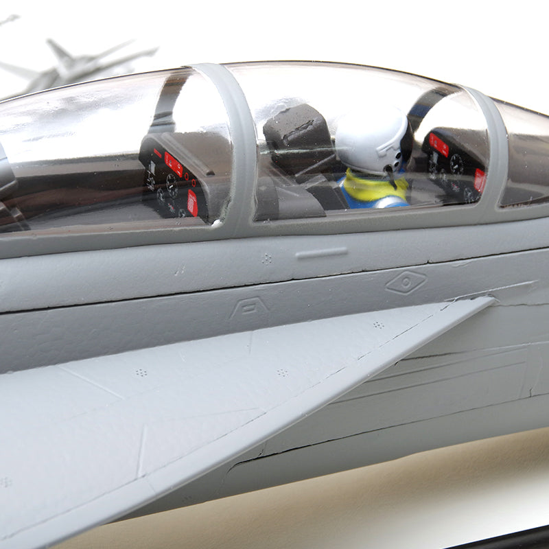 FMS F/A-18F Super Hornet model cockpit with pilots and detailed dashboard