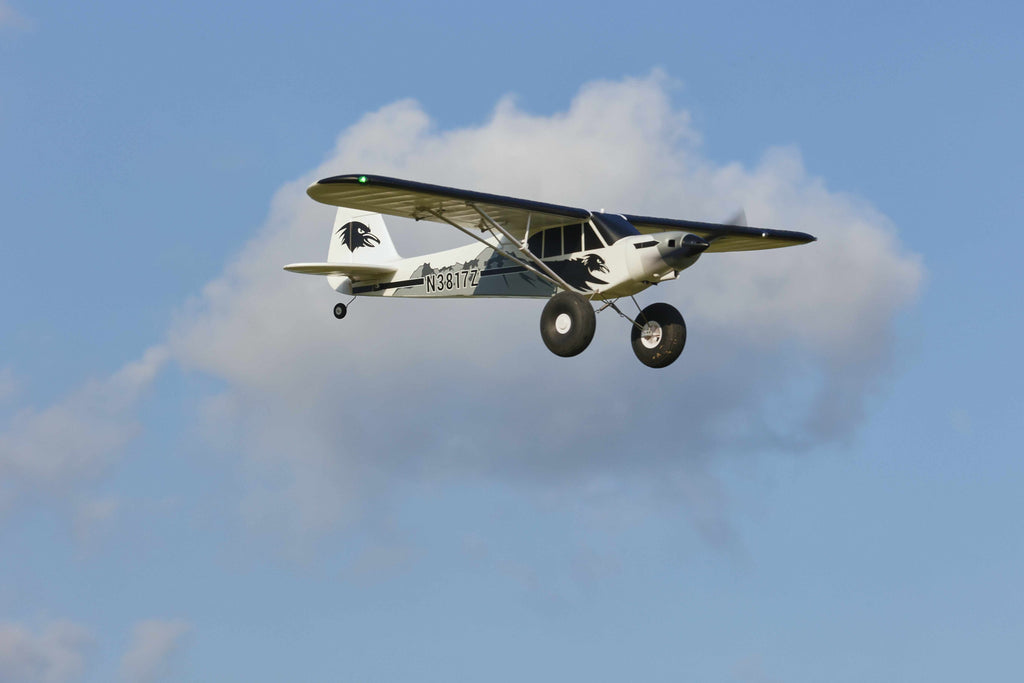 RC plane with eagle decals flying against clouds