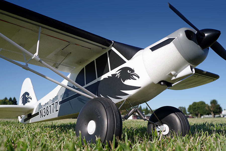 An RC airplane on grass with a black bird decal and N3817Z tail number.