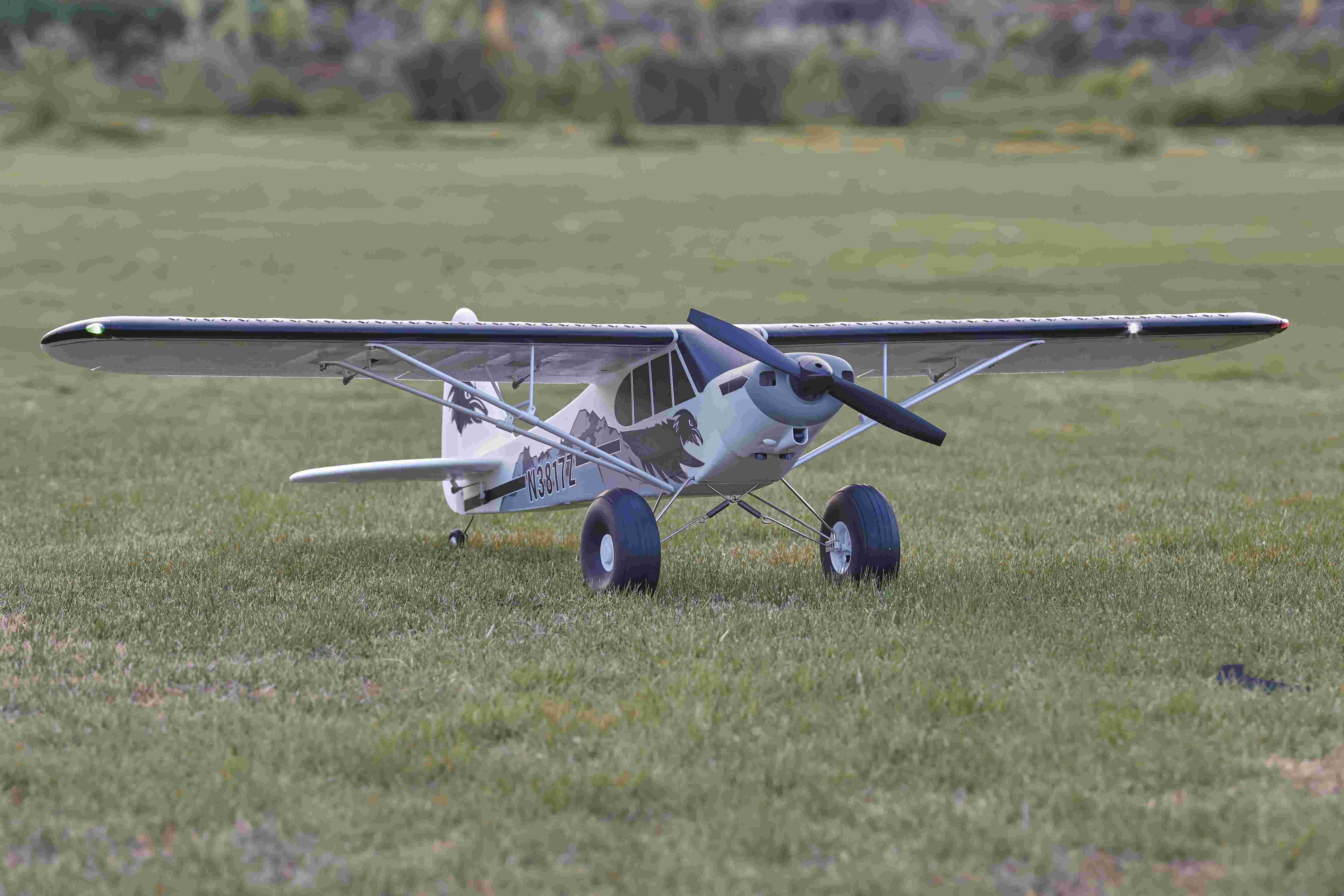 RC plane on grass field ready for weather assessment