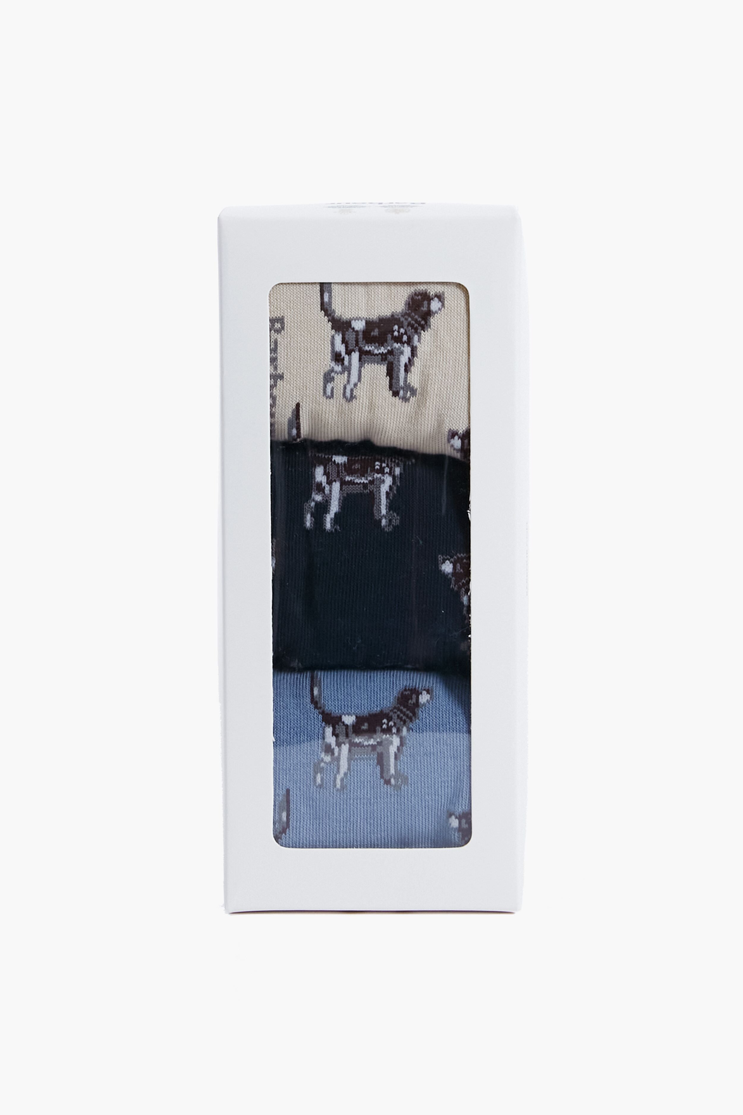 Navy Pointer Dog Socks Gift Box-Get Girly