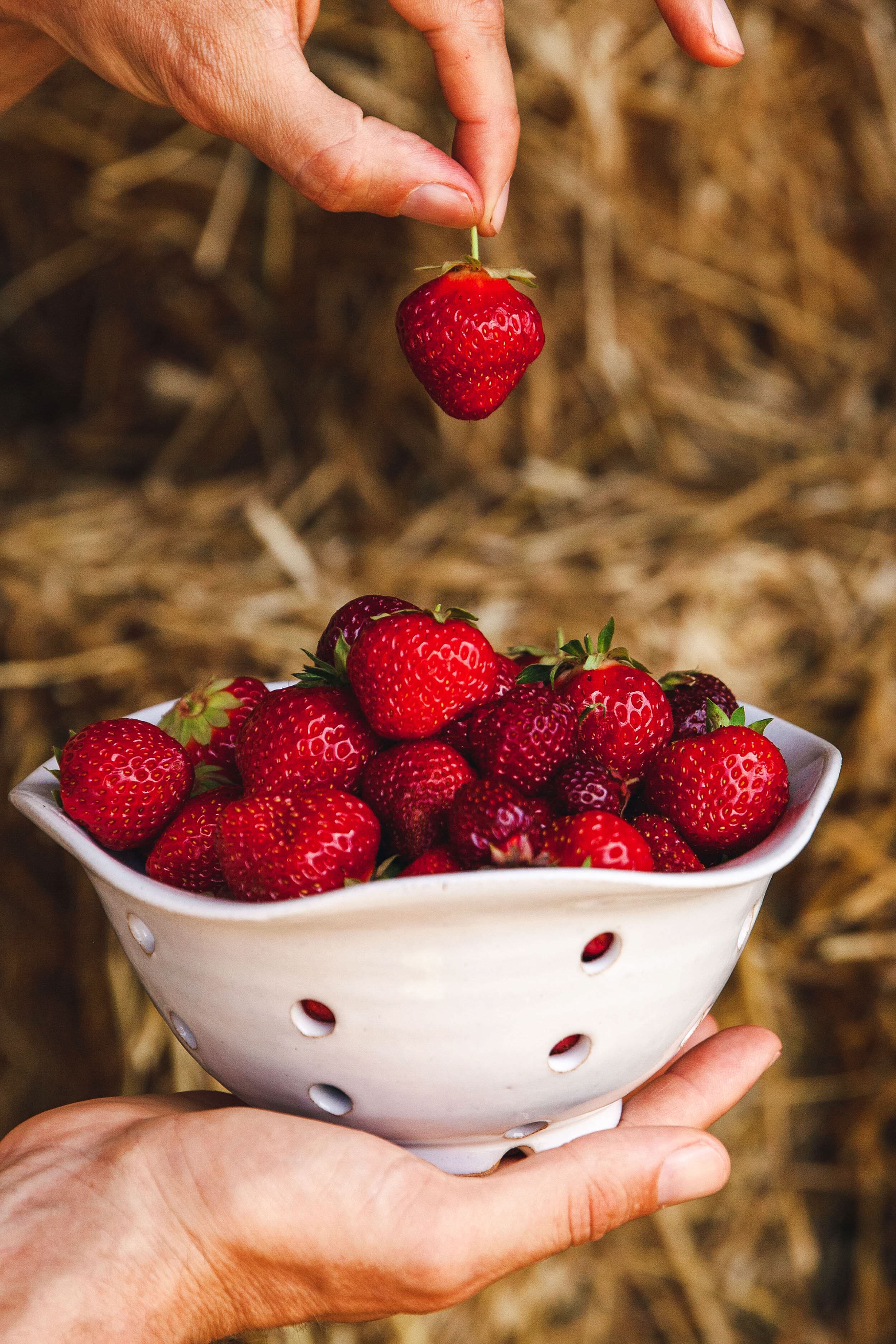 Windrow Berry Bowl-Get Girly