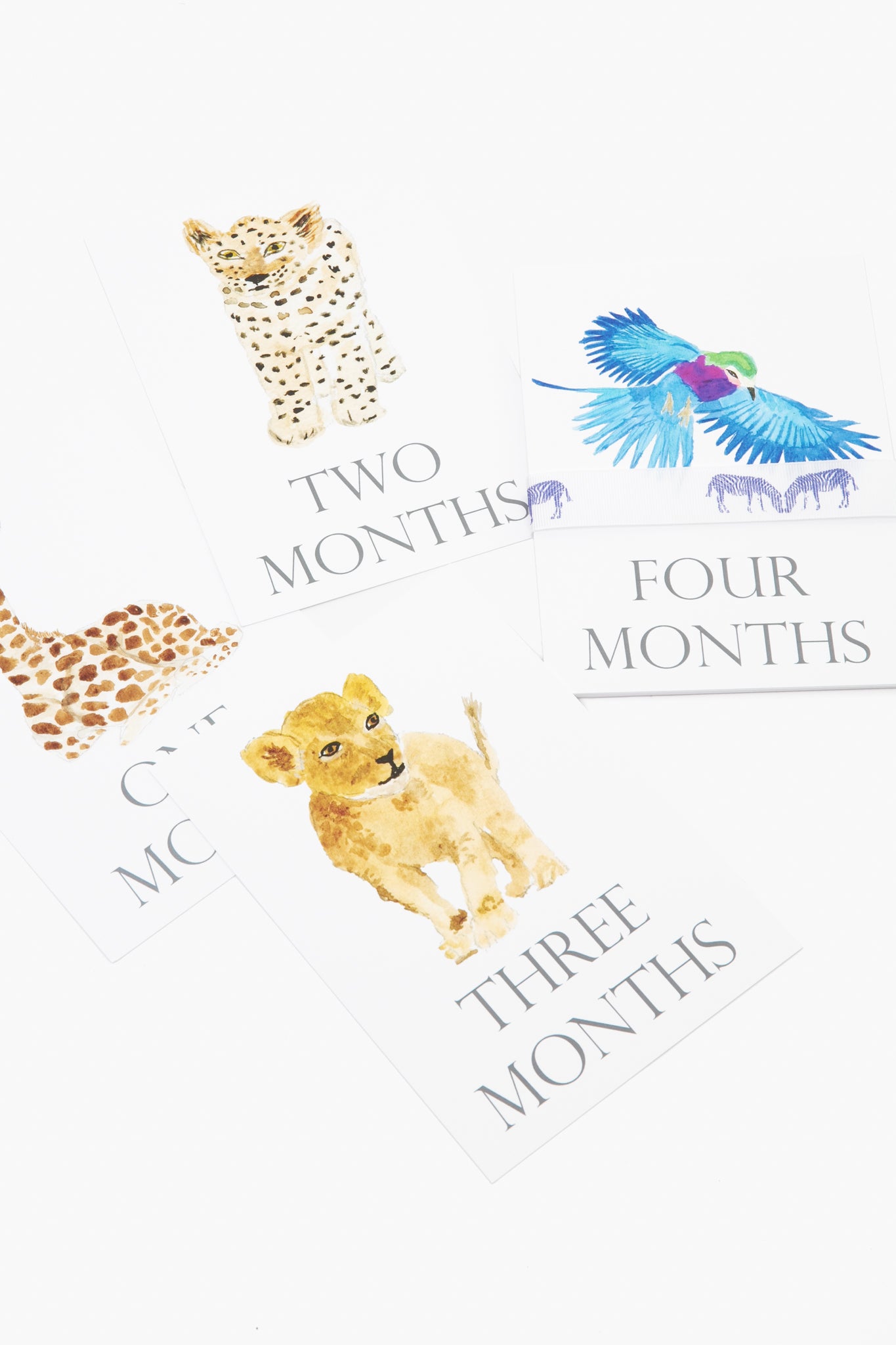 Baby Month Cards-Get Girly
