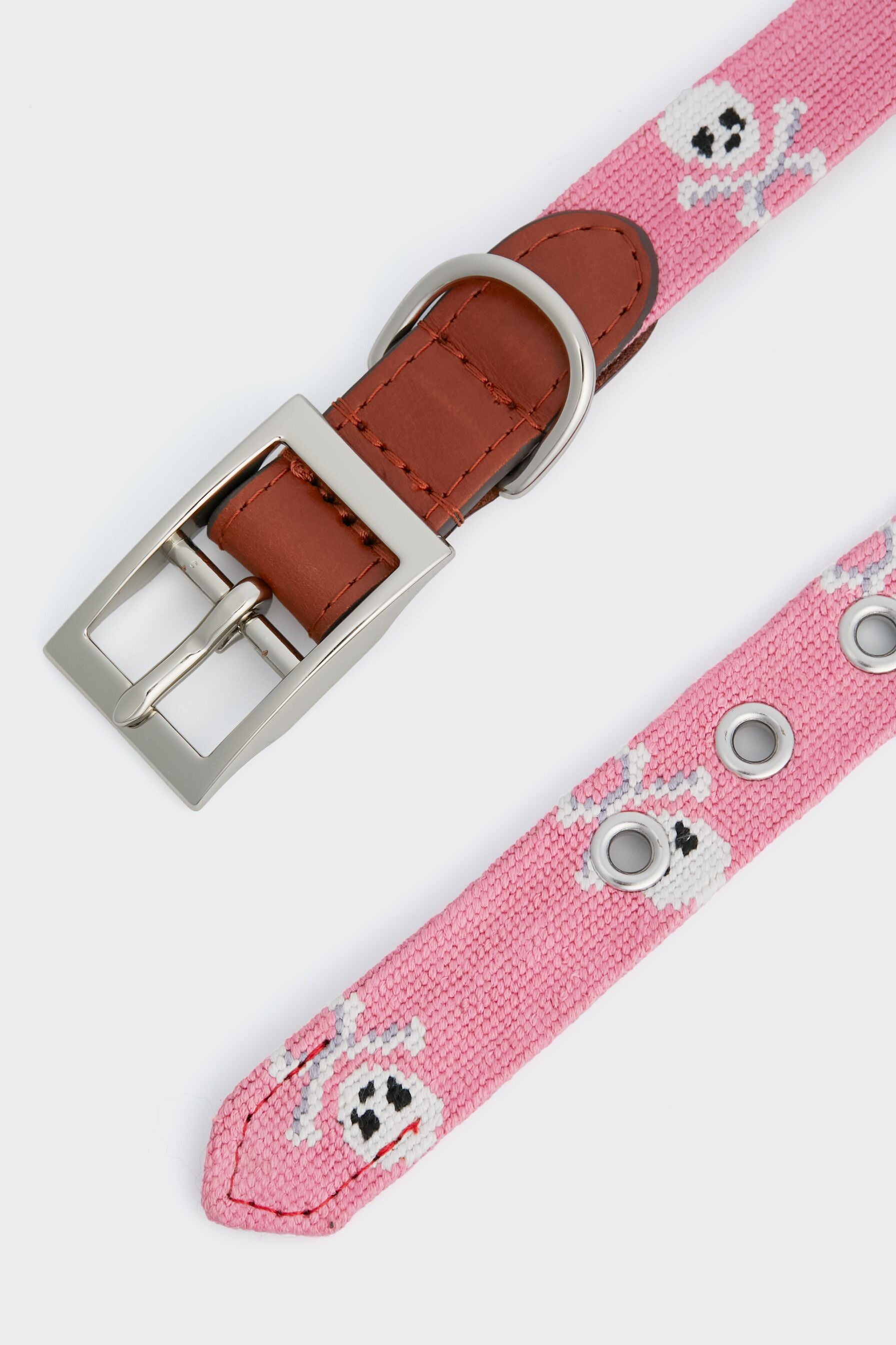 Jolly Roger Needlepoint Dog Collar-Get Girly