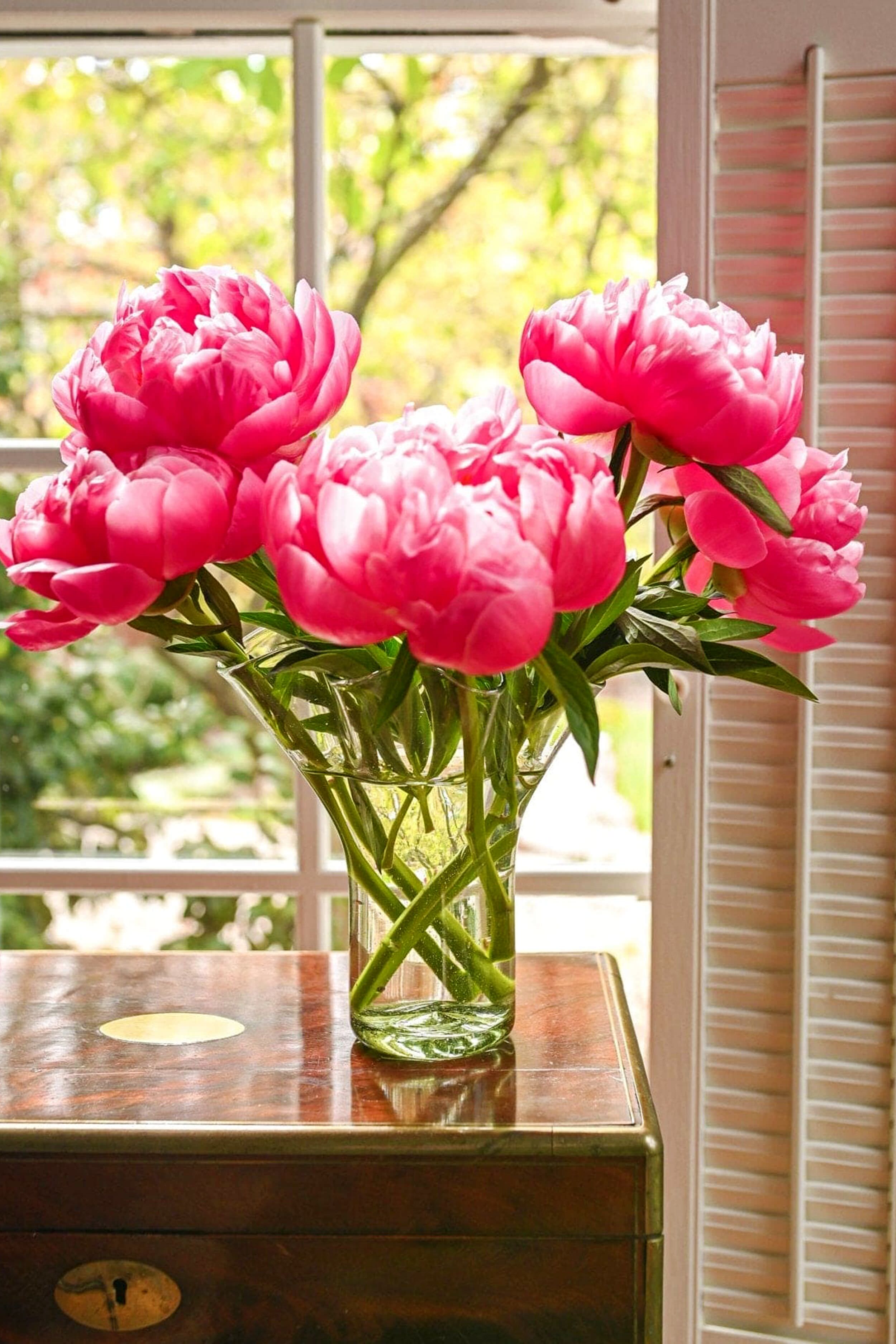 The Original Lettuce Leaf Vase-Get Girly