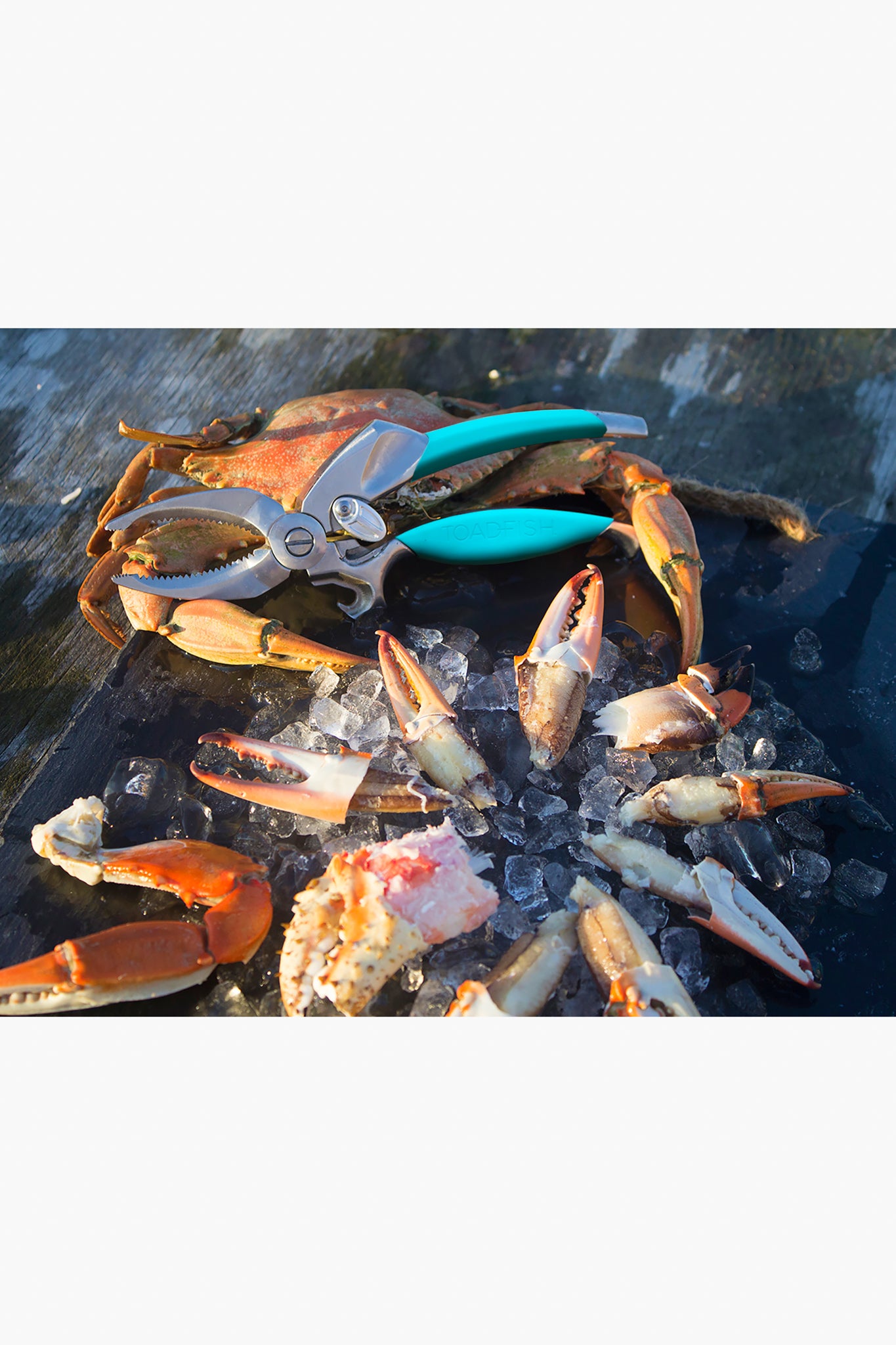 Crab and Lobster Tool Set-Get Girly