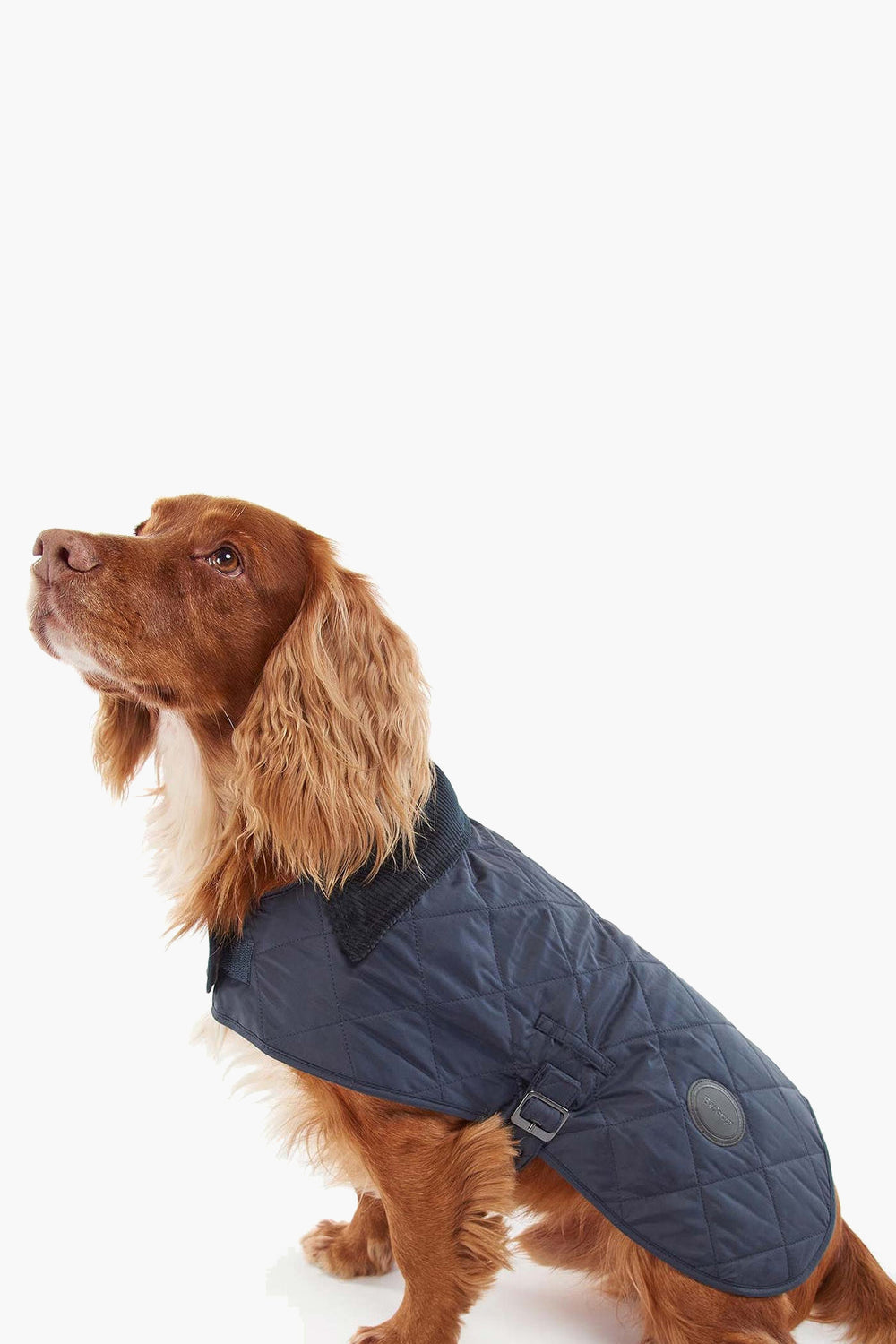 Navy Quilted Dog Coat-Get Girly