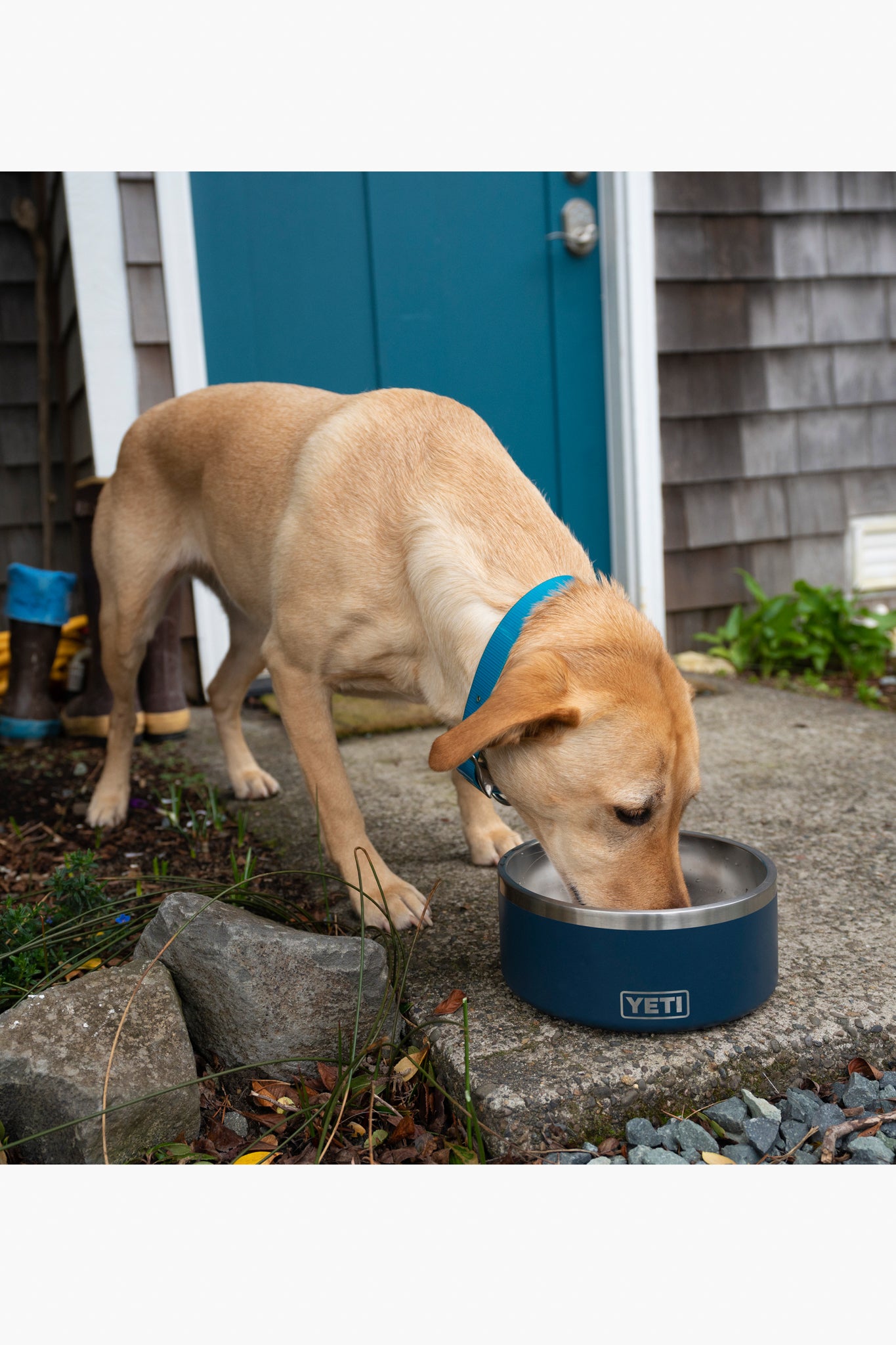 Navy Boomer 8 Dog Bowl-Get Girly