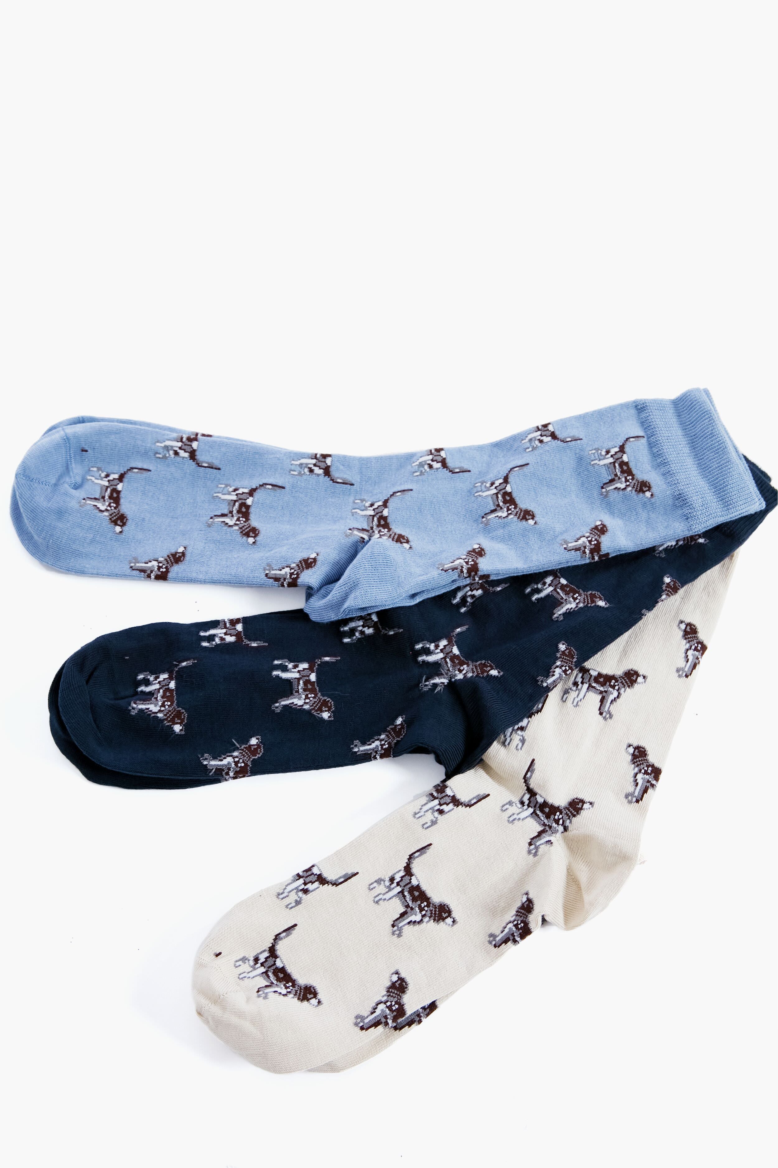 Navy Pointer Dog Socks Gift Box-Get Girly
