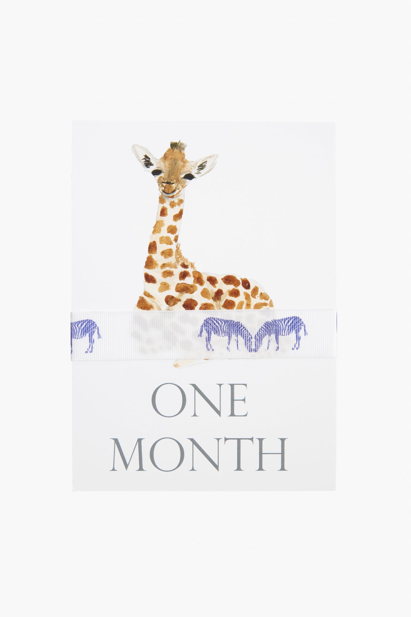 Baby Month Cards-Get Girly
