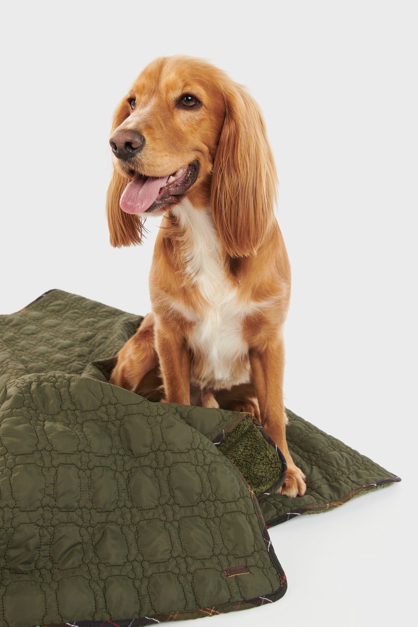 Dark Olive Dog Bone Quilted Blanket-Get Girly