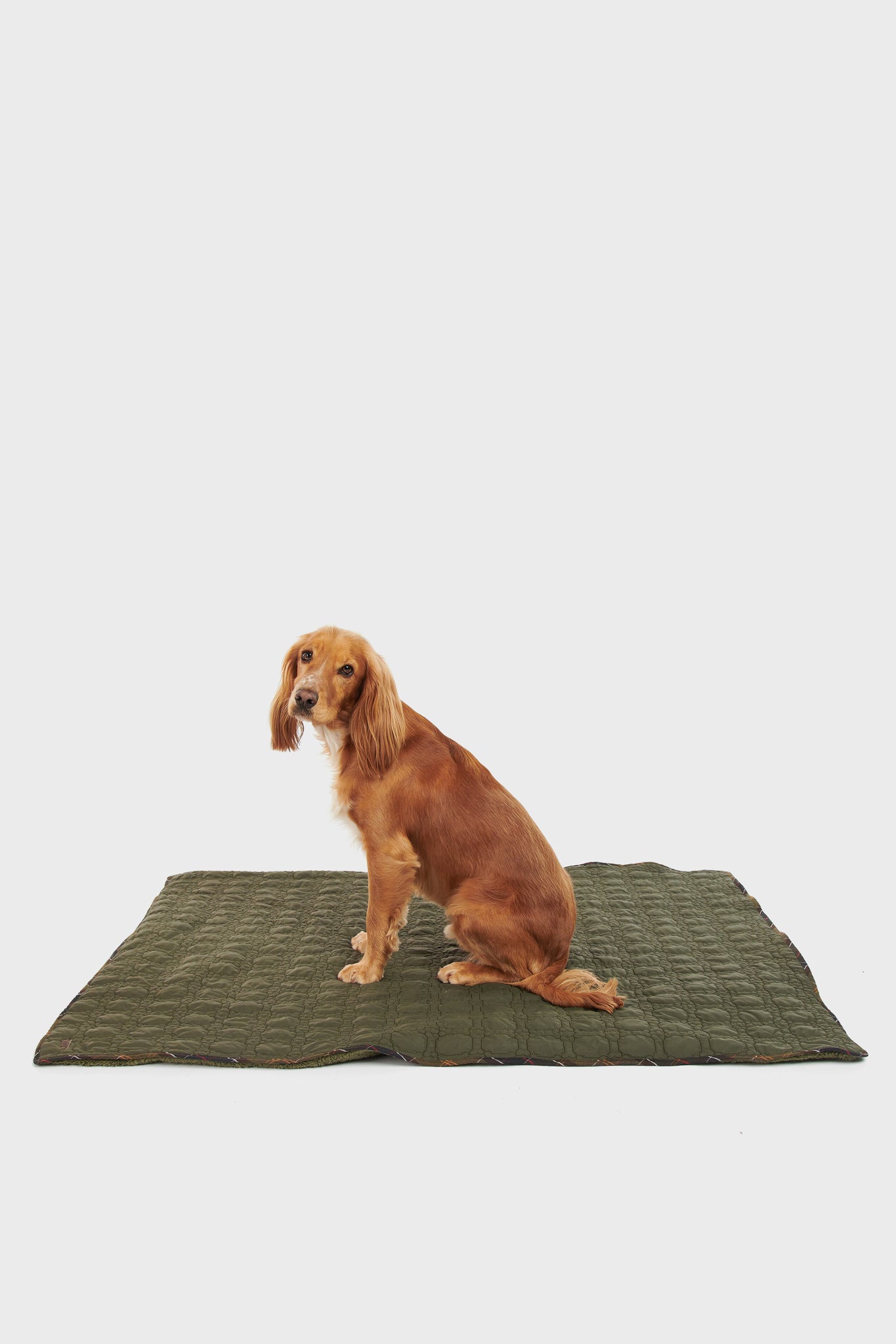 Dark Olive Dog Bone Quilted Blanket-Get Girly