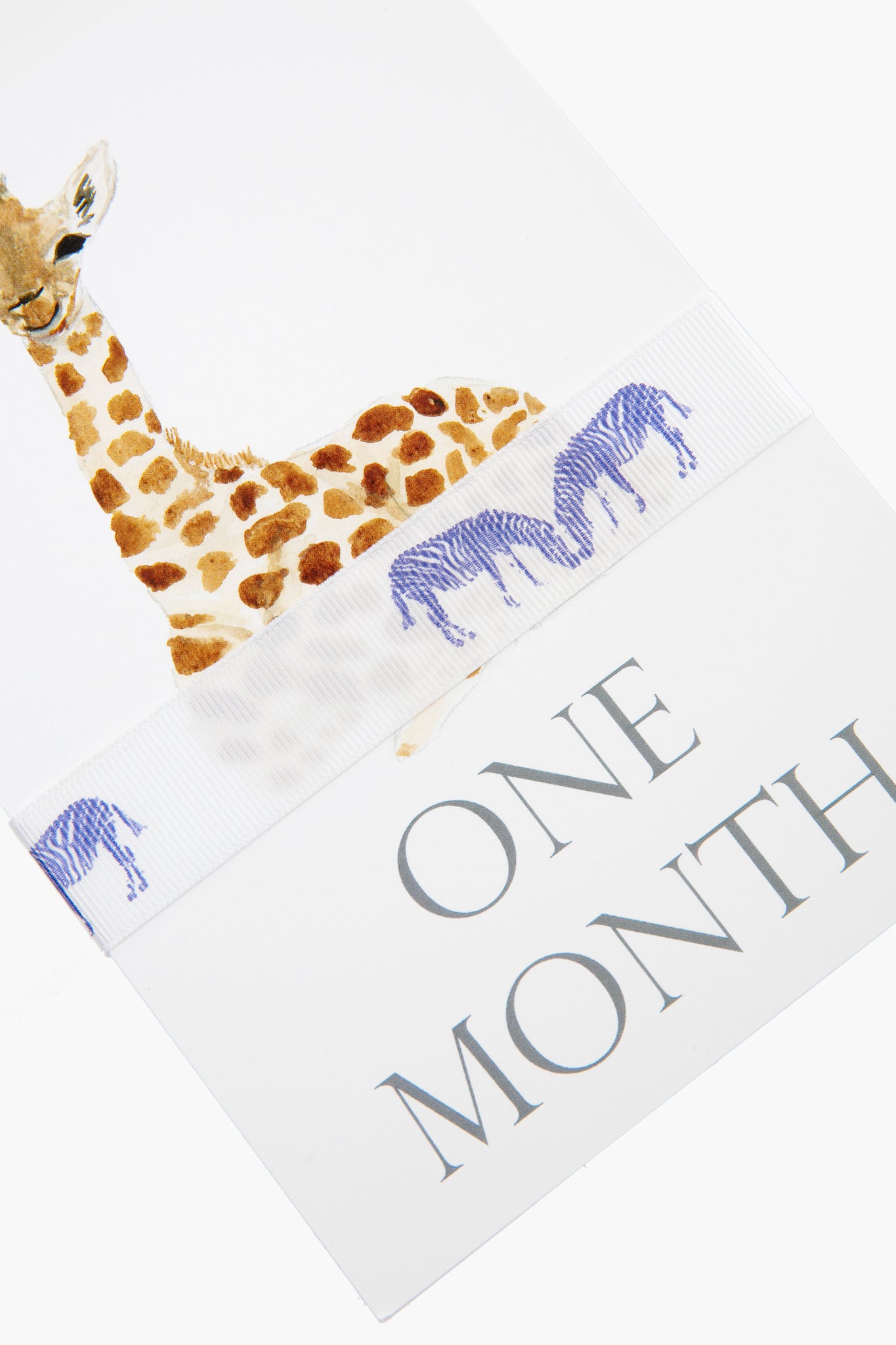 Baby Month Cards-Get Girly