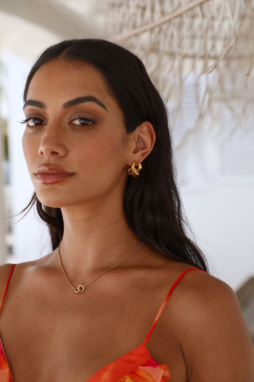 18k gold plated Swan Love Earrings-Trogz