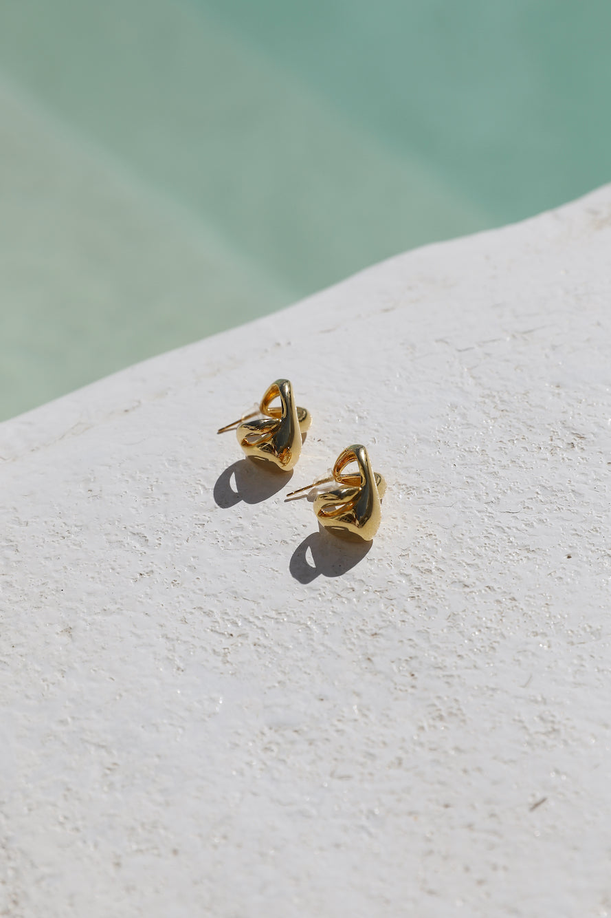 18k gold plated Swan Love Earrings-Trogz