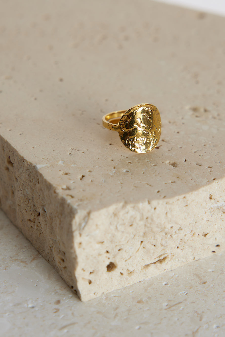 18k Gold Plated All In Ring gold-Trogz