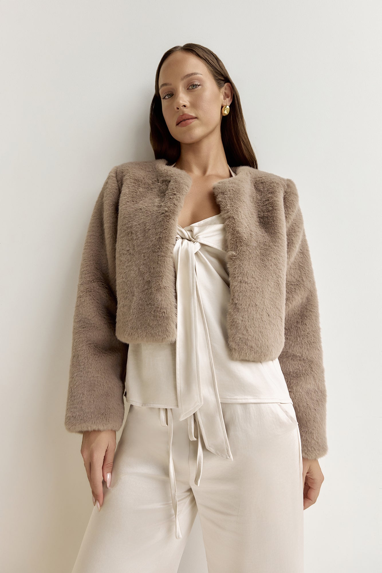 Day By Day Faux Fur Cropped Jacket Brown-Trogz