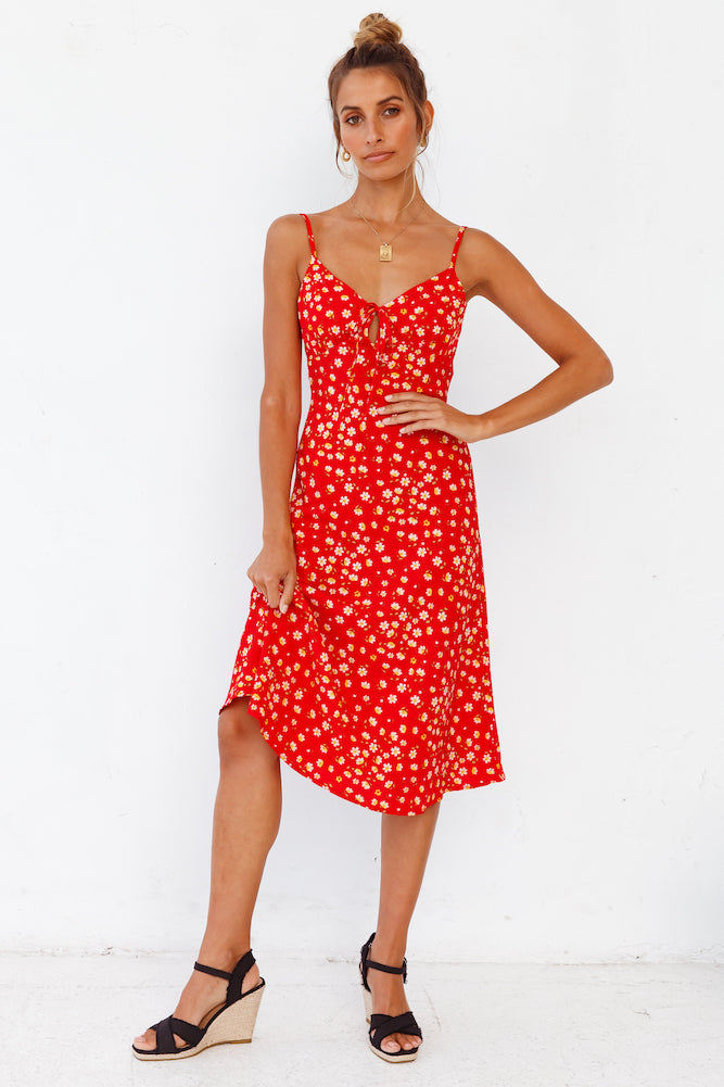 Apple Of My Eye Midi Dress-Trogz