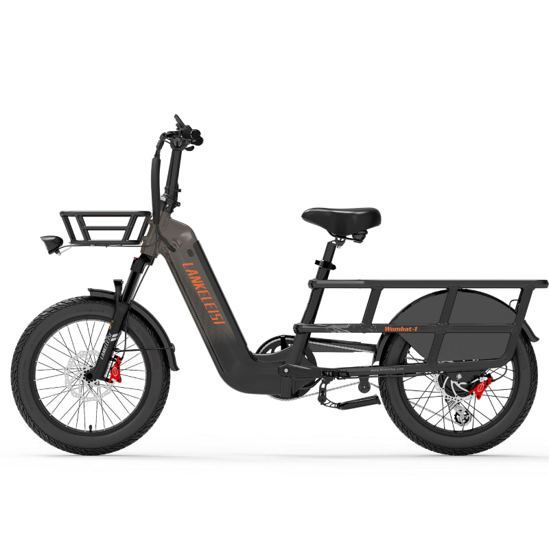 Lankeleisi Wombat-1 1000W 20" Electric Bike 960Wh Longtail Cargo E-Bike With Torque Sensor 48V 20Ah Battery