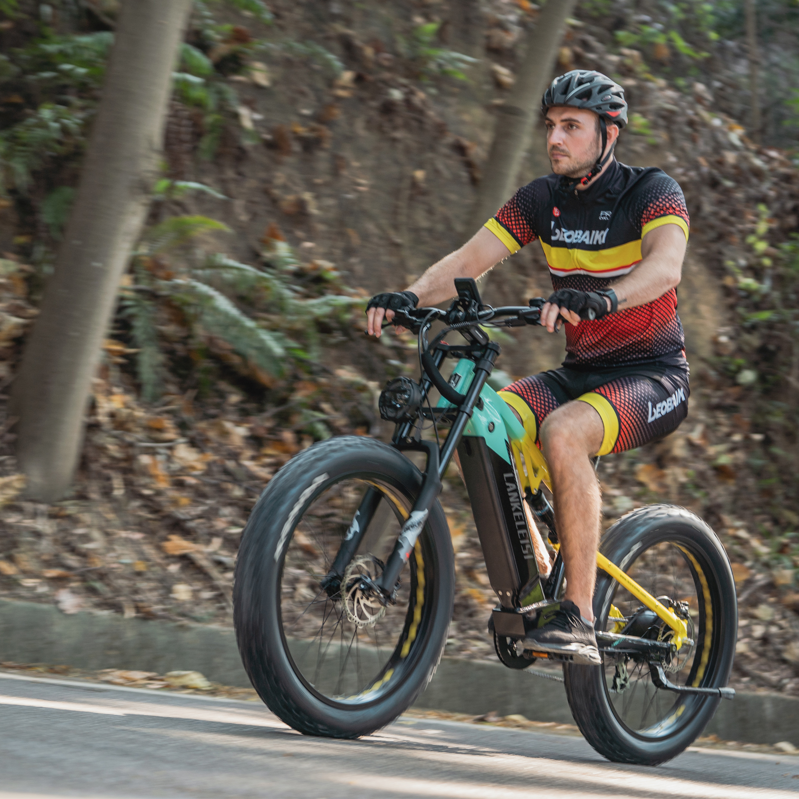 Fat Tire Electric Bike