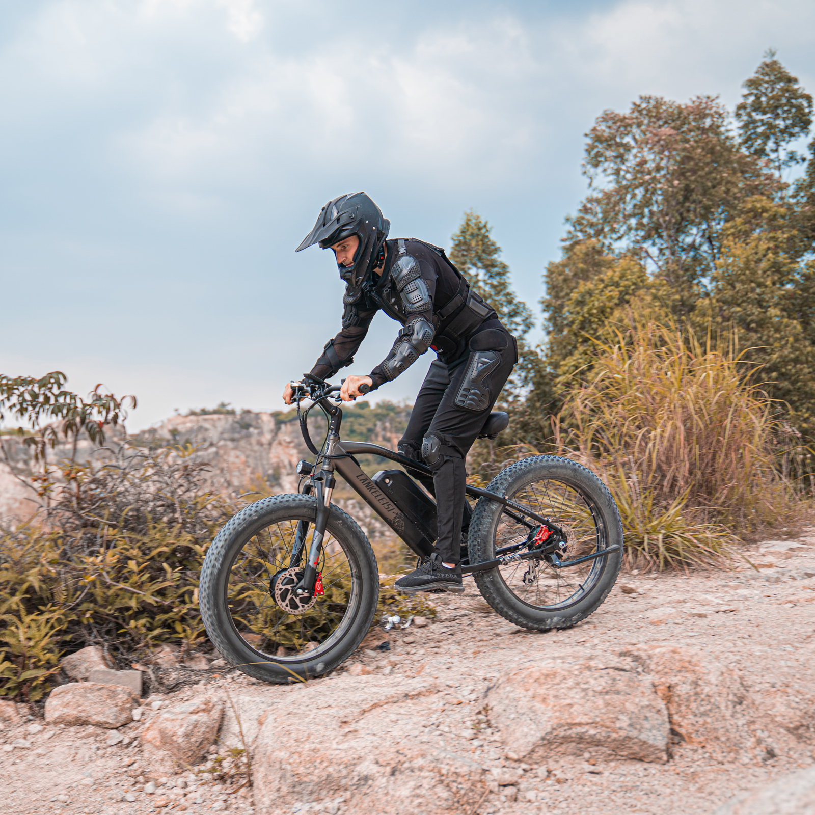 Mountain Electric Bike