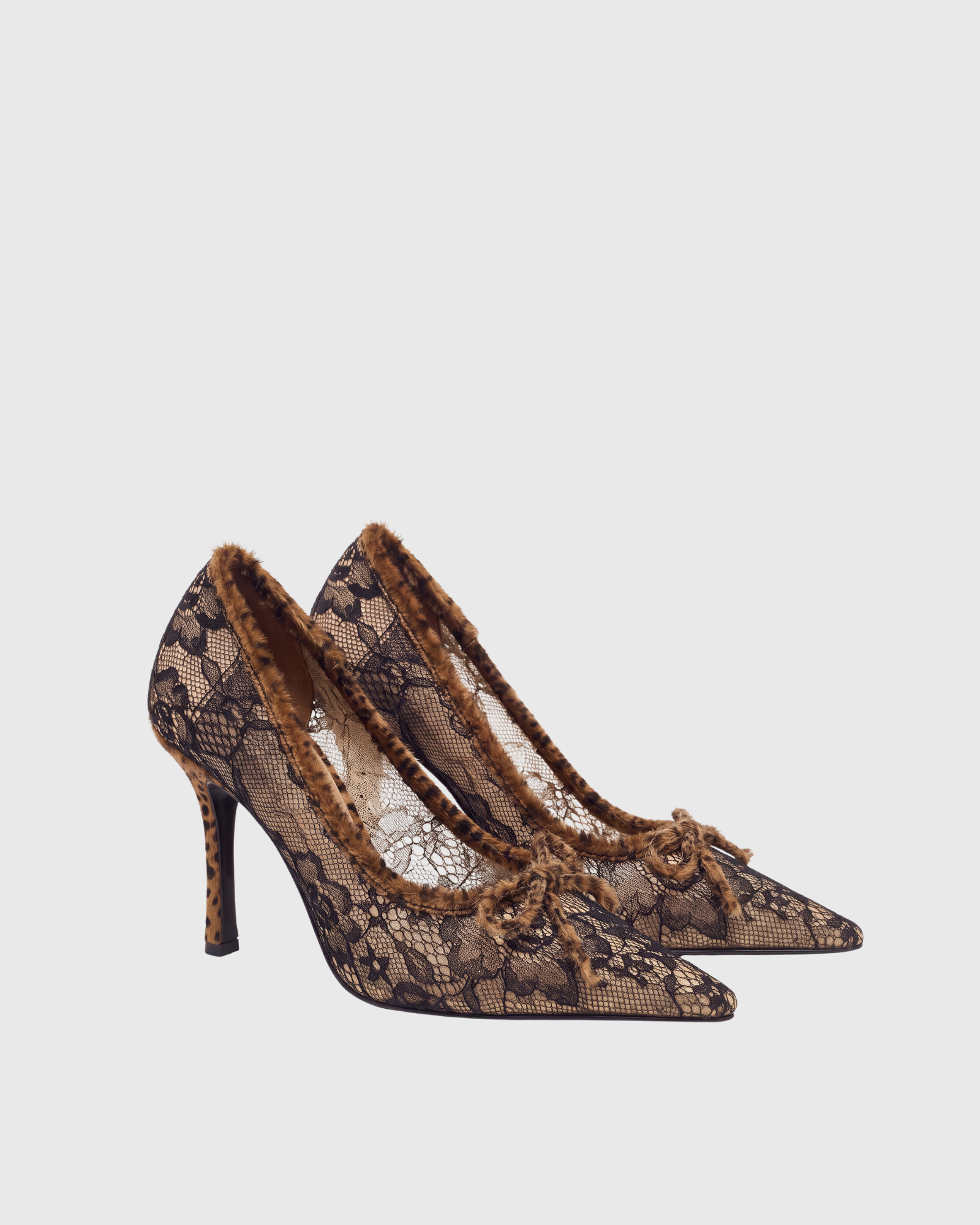 Queniva Leopard Print Lace Mesh Pumps In Black